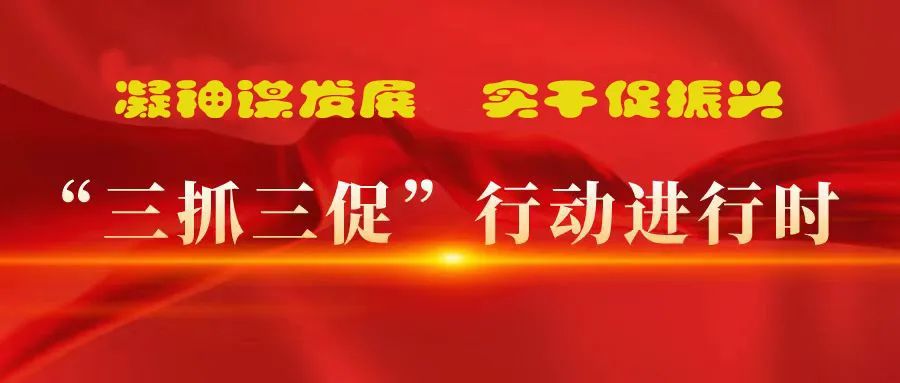 “三抓三促”進(jìn)行時 | 多措并舉強(qiáng)本領(lǐng) 精準(zhǔn)落實(shí)謀發(fā)展 —— 張掖市敦煌種業(yè)有限公司落實(shí)“三抓三促行動”紀(jì)實(shí)